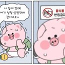 김해돼지국밥 이미지