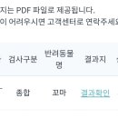 아이언펫