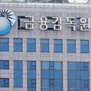 금융감독원 이미지