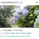 7월 6일. 한국의 탄생화와 부부꽃배달 / 산수국, 수국, 노루오줌 등 이미지