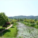 주암호 생태습지 이미지