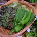 미금정육점식당