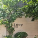 호호파스타 - 부천시 원미구 부일로459번길 42 | 서울숲 데이트 코스로 좋았던 호호식당 성수점, 명란오일파스타랑 로스가츠정식 후기 🍝