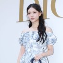 도도한고양이 이미지