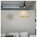 빼로독 강아지분양 의정부본점 이미지