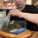 한국워디언케이스협회 | 더데라 공방 이끼 테라리움 원데이 클래스 후기, 나만의 작은 숲 만들기
