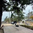 태안둘레길캠핑장 | 충남 오션뷰 캠핑장 애견동반캠핑 태안둘레길캠핑장 A4 사이트 후기