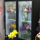 양문상회 이미지