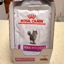 신장쇼핑몰2 | 로얄캐닌 레날 파우치 치킨 후기 | 신부전 2기 고양이 처방식 습식 사료 (기호성, 가격, 구매처)