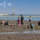 교로어촌계