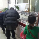 한밭대안경원 이미지