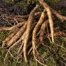 금산 영농조합법인 이미지