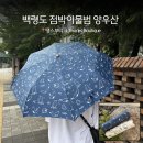 초경량 양우산 추천! 땡스부티크 백령도 점박이물범 우양산 후기
