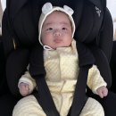 진아세탁 이미지