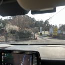 GS25 온수부일로점 | 여수 풀빌라 펜션 해미리온 리조트 온수 수영장 숙소