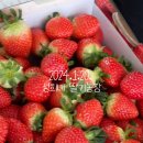 성희농장 이미지