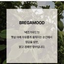 갤러리사이간 | [내돈내산] 퍼퓸갤러리에서 시트러스계열의 향인 BMW 베르가무드 향수 구입 후기