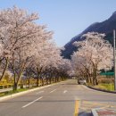 백양사 먹거리타운 이미지