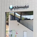 상판저수지(둑 안) | 대구 근교 경산 복사꽃 벚꽃 명소 힐링하기 좋은 반곡지 2026.04.02. 다녀온 후기