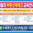 수원랜드 Daum카페