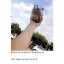 따봉 이미지