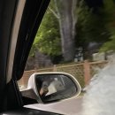 탕슈마미 이미지