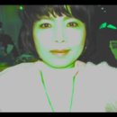선샘 - 17999 | 선샘
