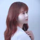 디아르떼 휴이엠