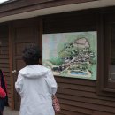 야초목장 이미지