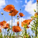 청천-e배움터 이미지