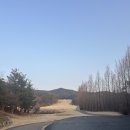 W-골프존 | 보기플레이어는 되겠구나 : 2025 골프존카운티 안성w 조인라운드후기