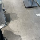 피클앤커머스 | 홍대 쉑쉑버거 내돈내산 후기 메뉴 추천 밀크쉐이크, 쉑버거, 치킨쉑, 감자튀김 가격