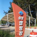 캠핑 왔어요 이미지