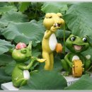 개굴개굴 이미지