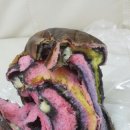 카페 35cm 네이버블로그