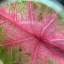 범수네농장 이미지