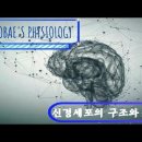 생리학 - 신경세포의 구조와 종류 이미지