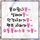 으뜸플러스안경신제주점 네이버블로그
