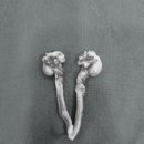 올림픽동물의료센터 이미지