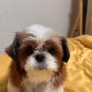 동울산동물병원 이미지