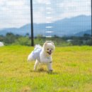 포레스트258 펜션 이미지