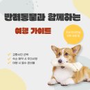 반려동물과함께하는#설렘 이미지