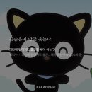 서러운 건 서러운 거고