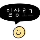 비바투어 이미지
