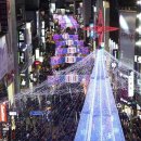 크리스마스 트리 축제 이미지