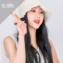 피알브이 이미지