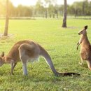 채선농장 이미지