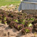 어영골펜션 이미지