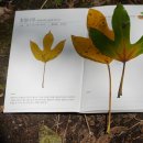 유니크환경 네이버블로그