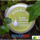 원데이즈웰 이미지